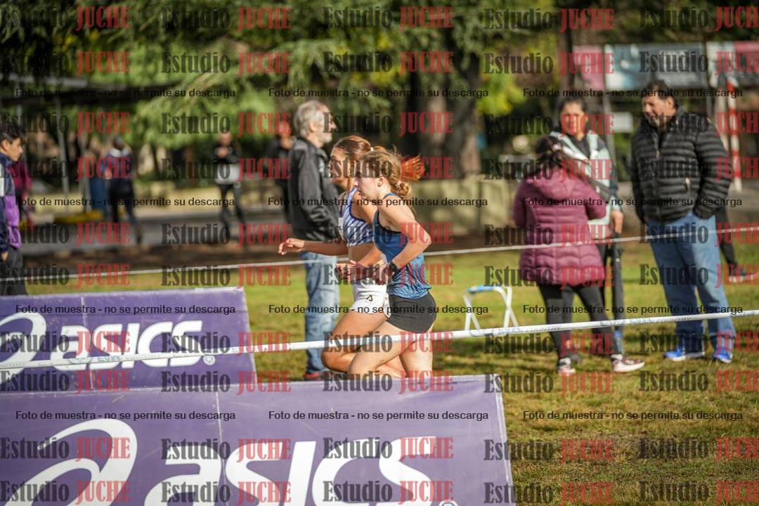 Fotos en el circuito