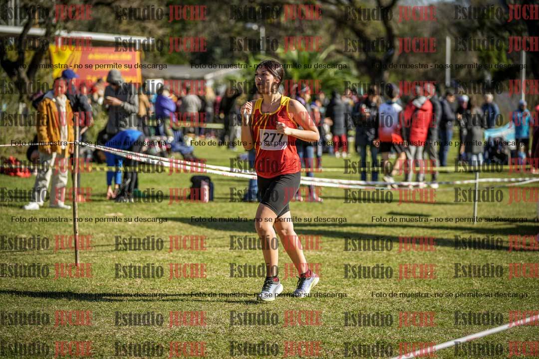Fotos en el tercer punto del circuito