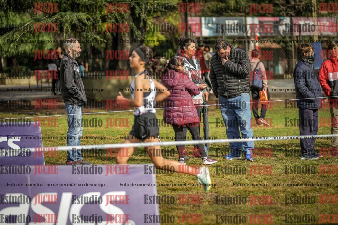 Fotos en el circuito