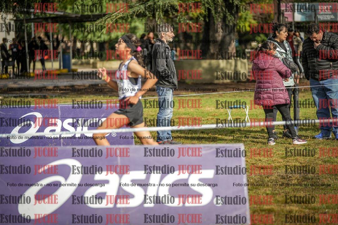 Fotos en el circuito