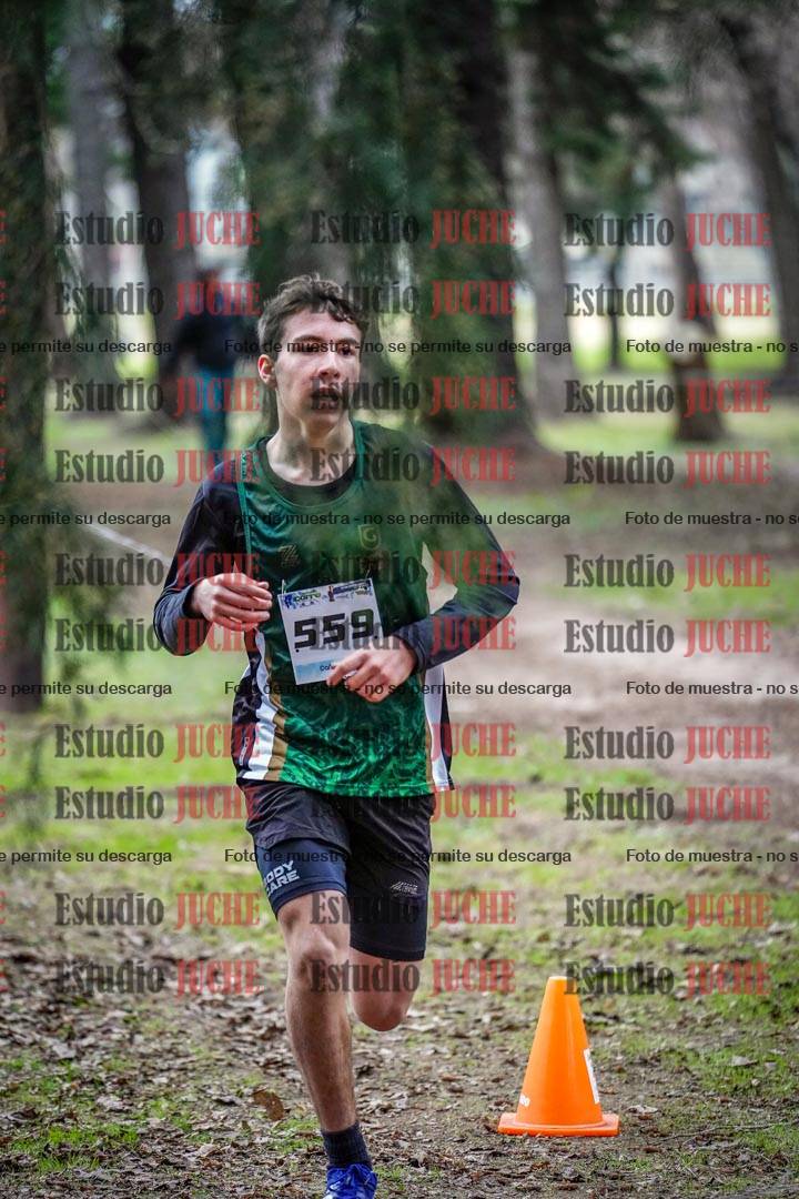 Fotos en el circuito