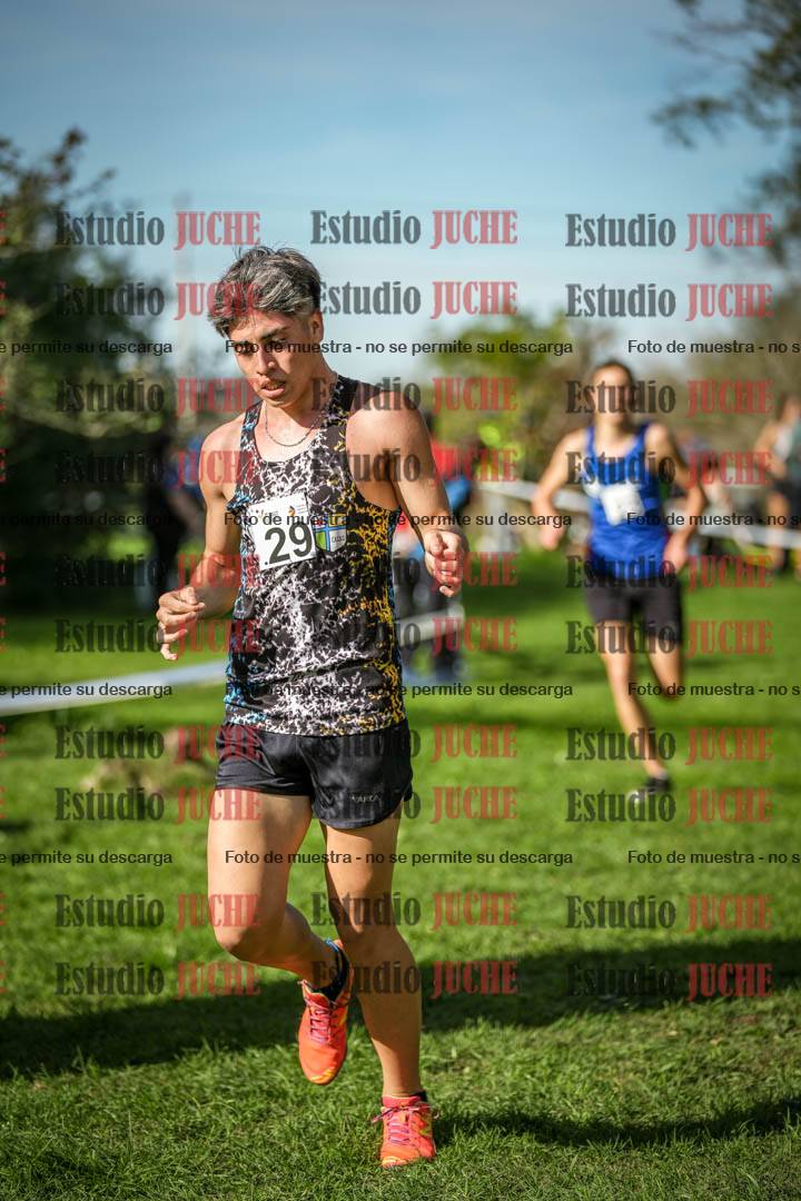 Fotos de la llegada del cross de 3000 m