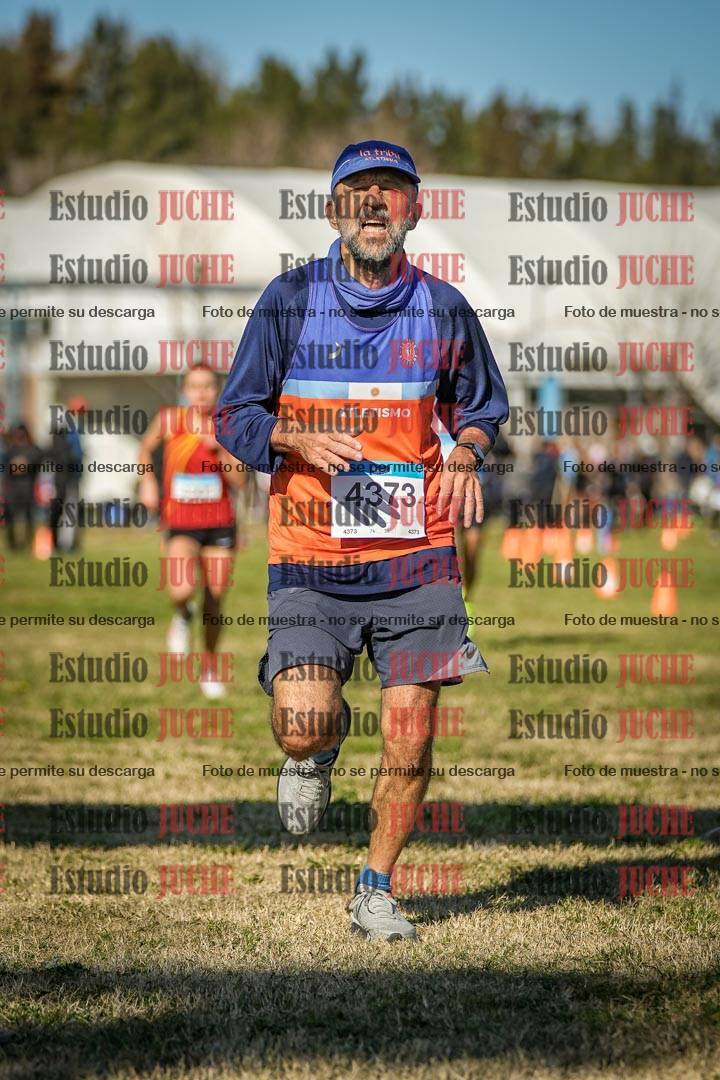 Fotos de las llegadas