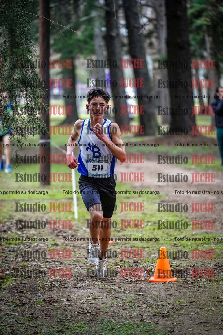 Fotos en el circuito