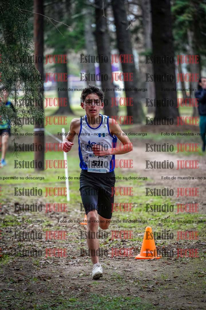 Fotos en el circuito