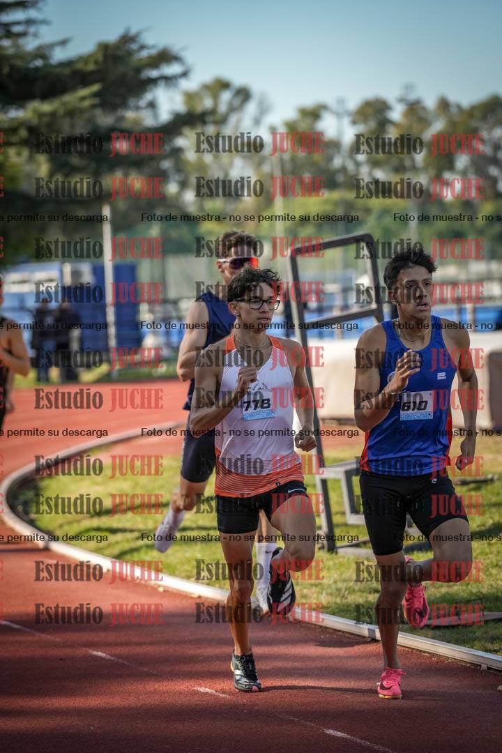 Fotos de los 800 m llanos de varones