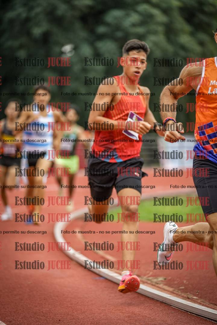 Fotos de los 800 m llanos de varones