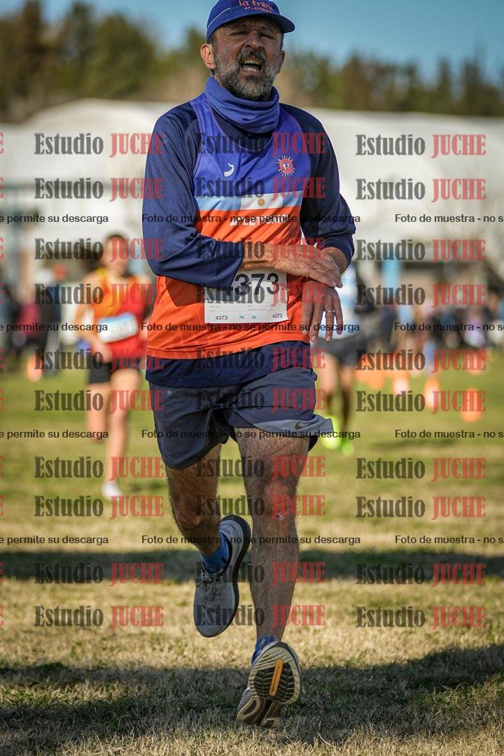Fotos de las llegadas