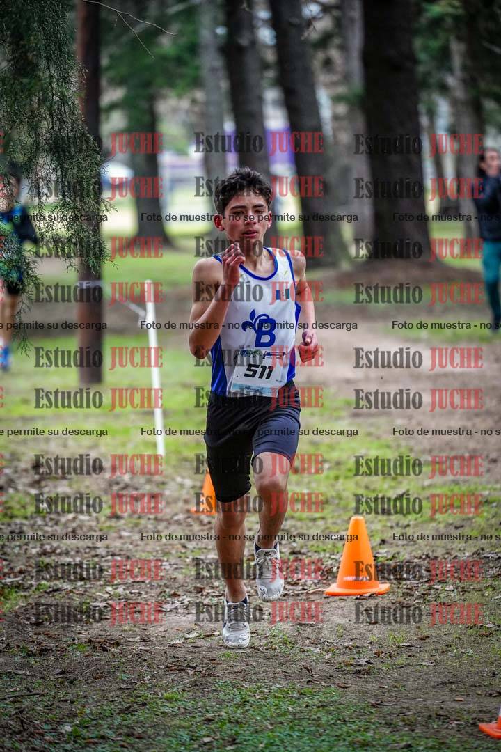 Fotos en el circuito
