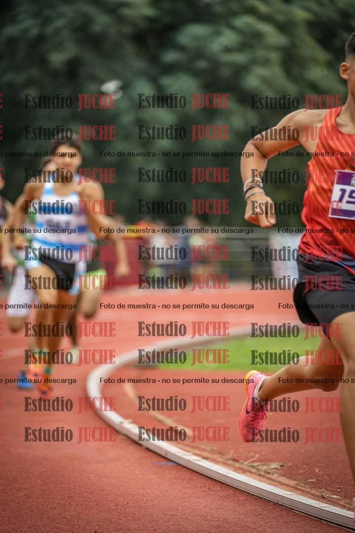 Fotos de los 800 m llanos de varones