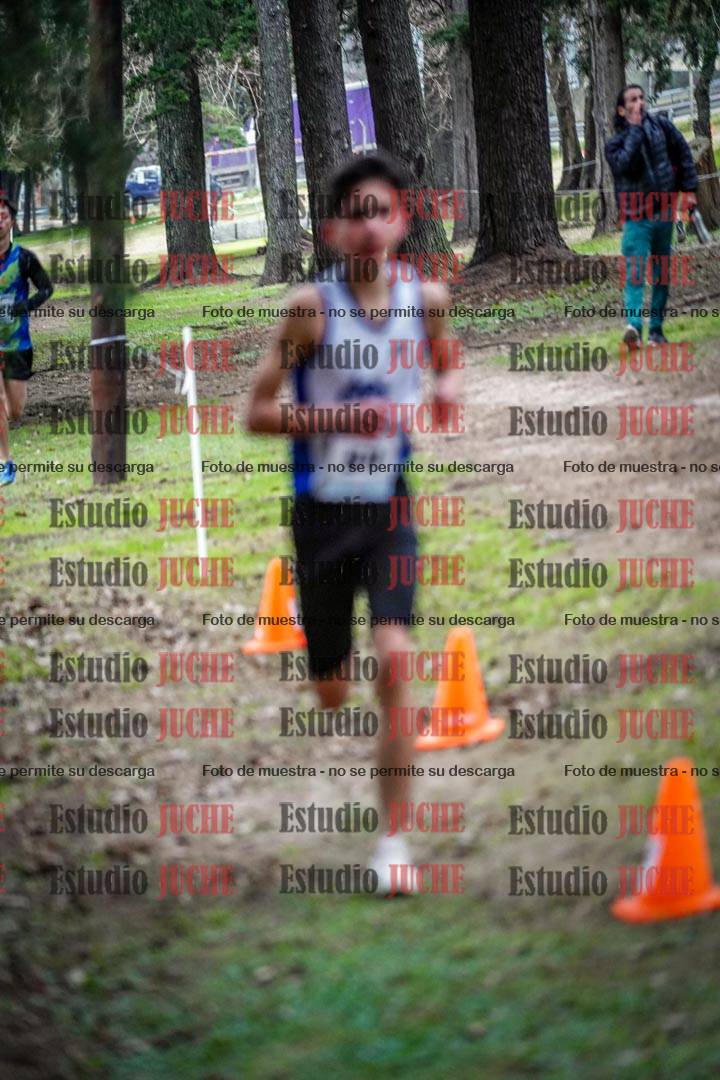 Fotos en el circuito