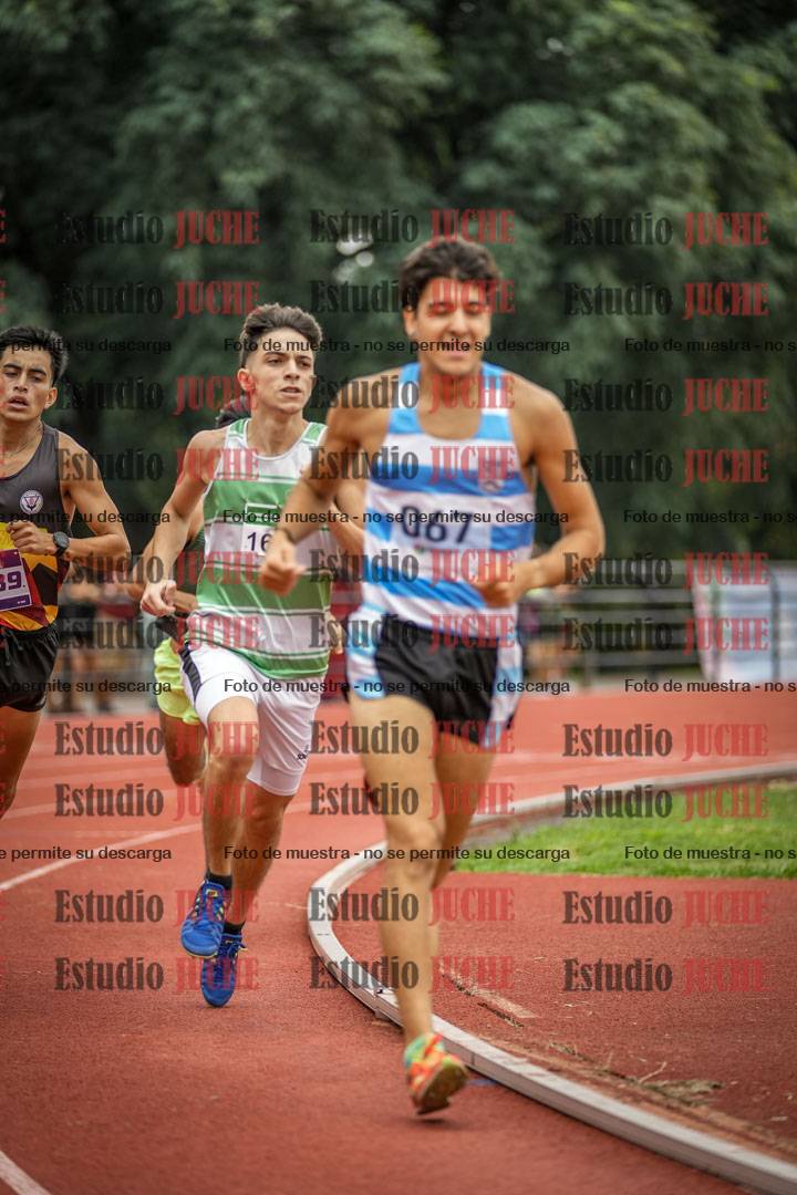 Fotos de los 800 m llanos de varones