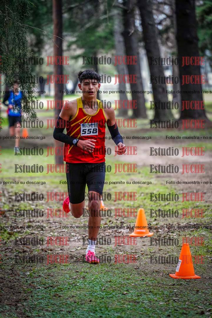 Fotos en el circuito