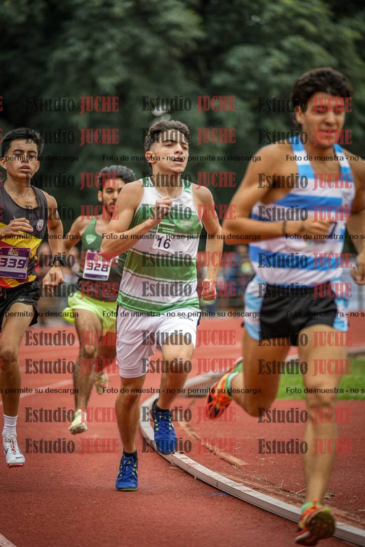 Fotos de los 800 m llanos de varones