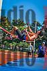 Fotos del salto en alto - grupo 2