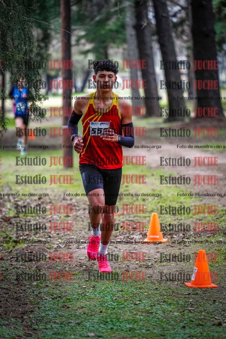 Fotos en el circuito