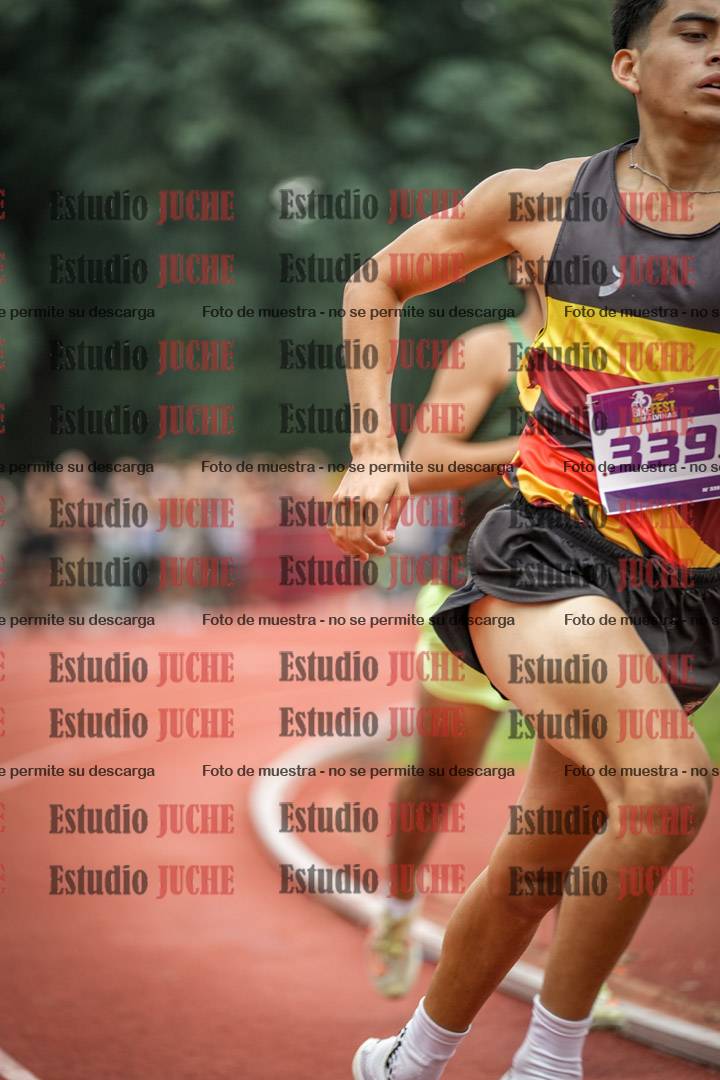 Fotos de los 800 m llanos de varones