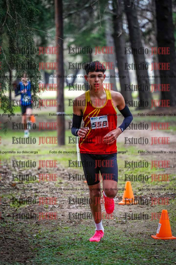 Fotos en el circuito
