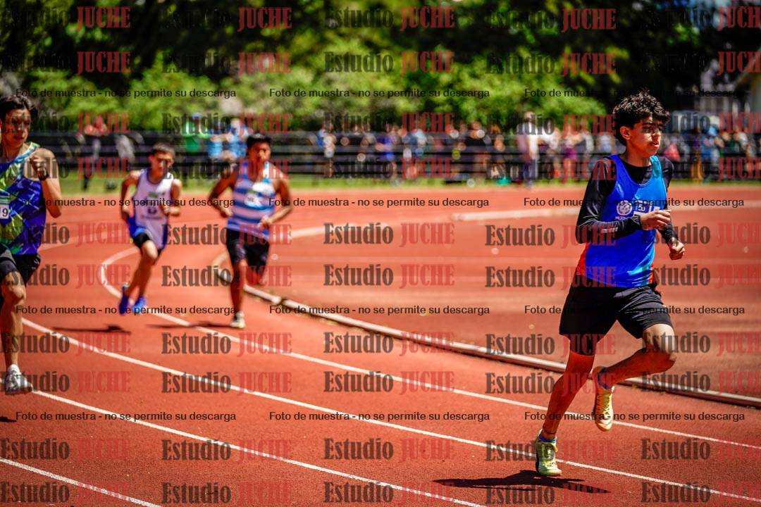 Fotos de los 800 m llanos de varones
