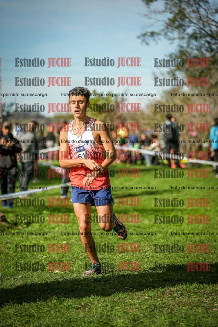 Fotos de la llegada del cross de 3000 m