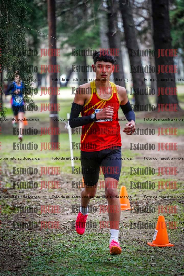 Fotos en el circuito