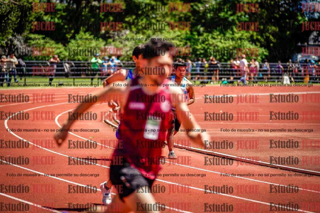 Fotos de los 800 m llanos de varones