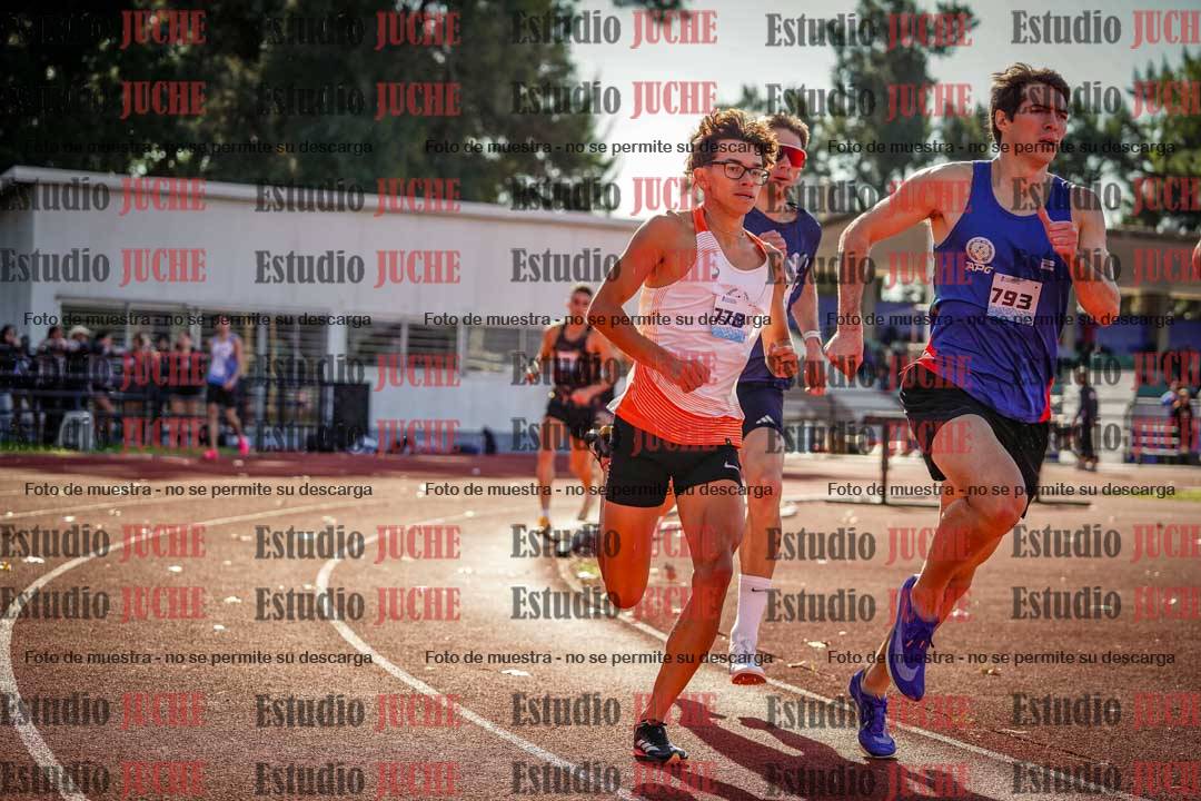 Fotos de los 800 m llanos de varones