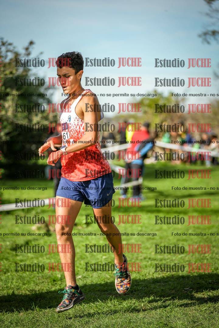 Fotos de la llegada del cross de 3000 m
