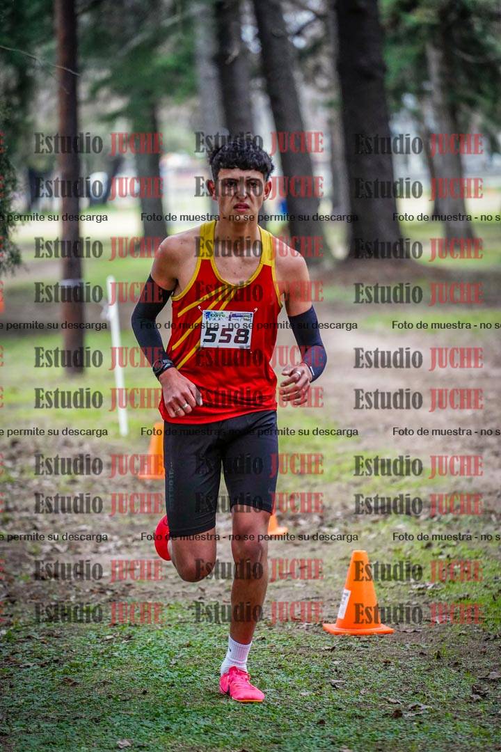 Fotos en el circuito