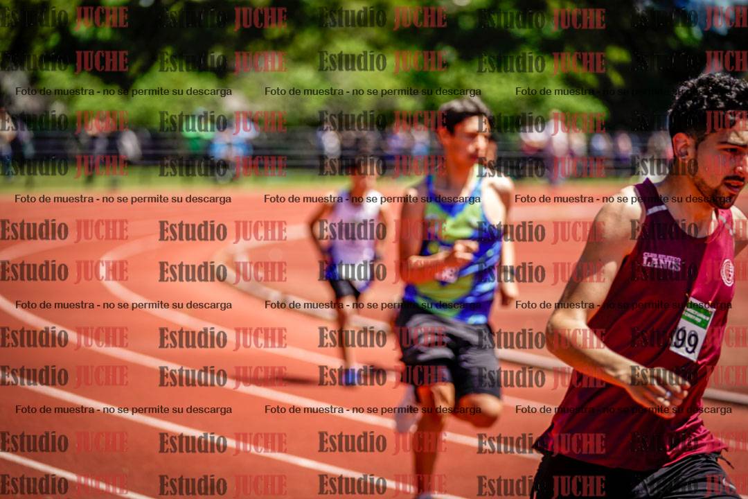 Fotos de los 800 m llanos de varones