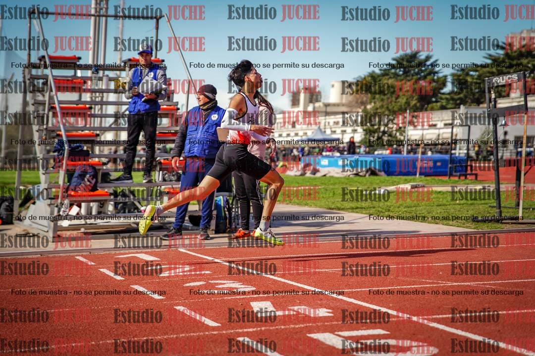 Fotos de los 800 m llanos de varones