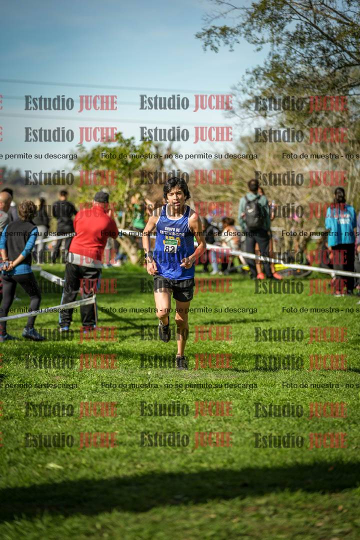 Fotos de la llegada del cross de 3000 m