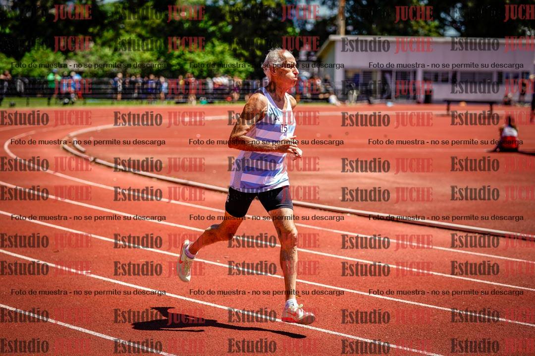 Fotos de los 800 m llanos de varones