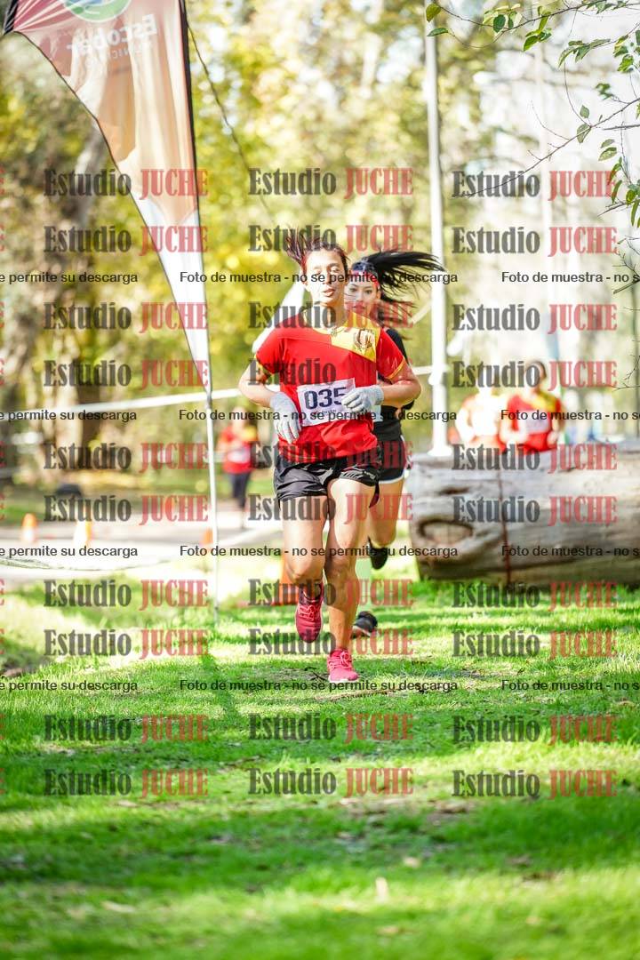 Fotos en el segundo punto del circuito