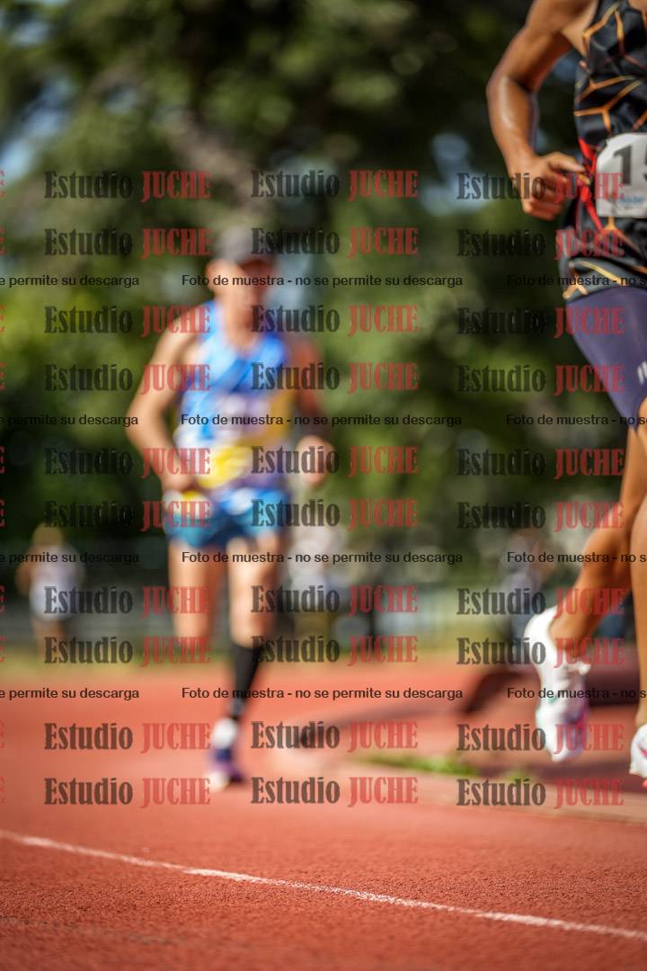 Fotos de los 5000 m llanos