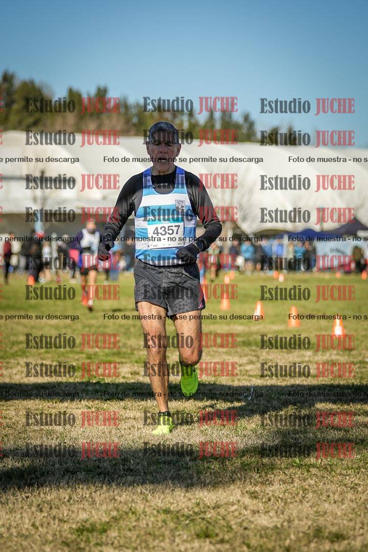 Fotos de las llegadas