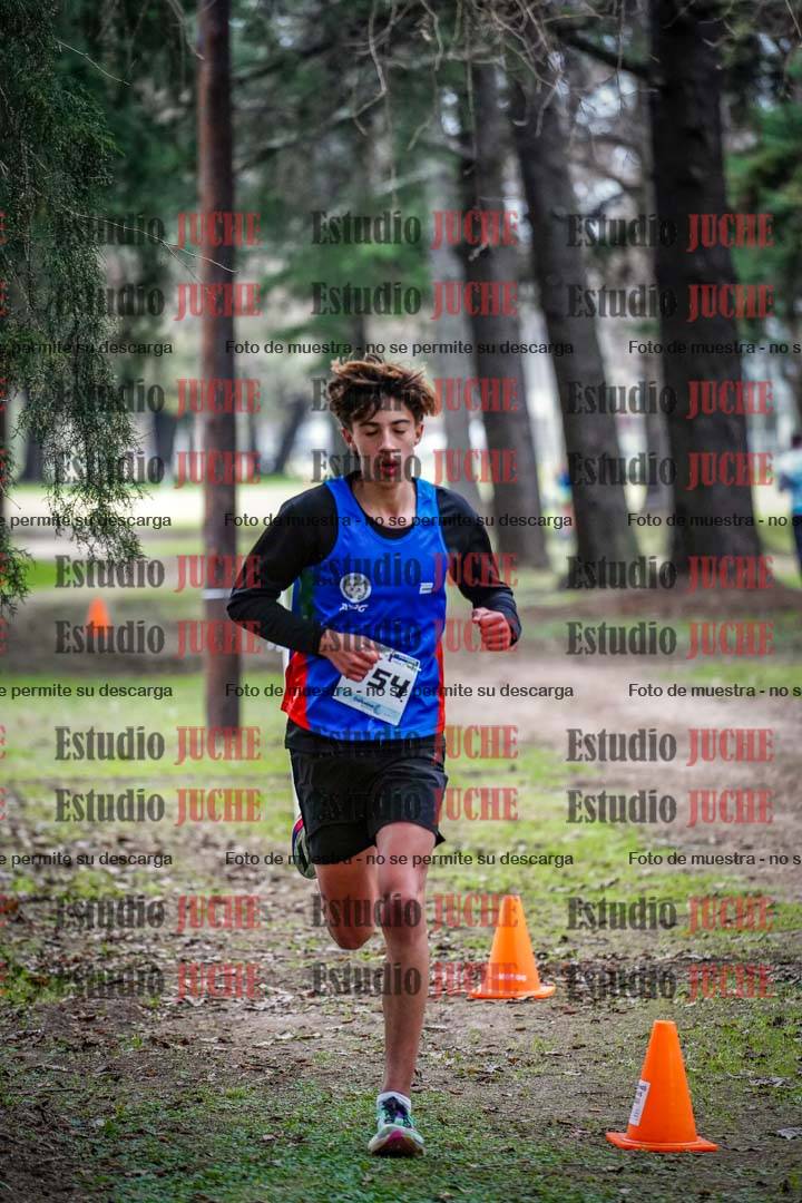 Fotos en el circuito