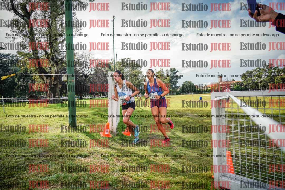 Fotos en el circuito