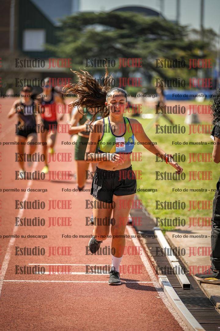 Fotos de los 1500 m llanos de mujeres
