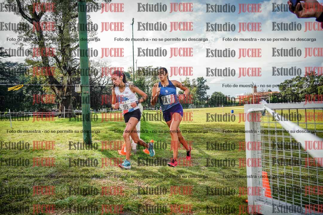 Fotos en el circuito
