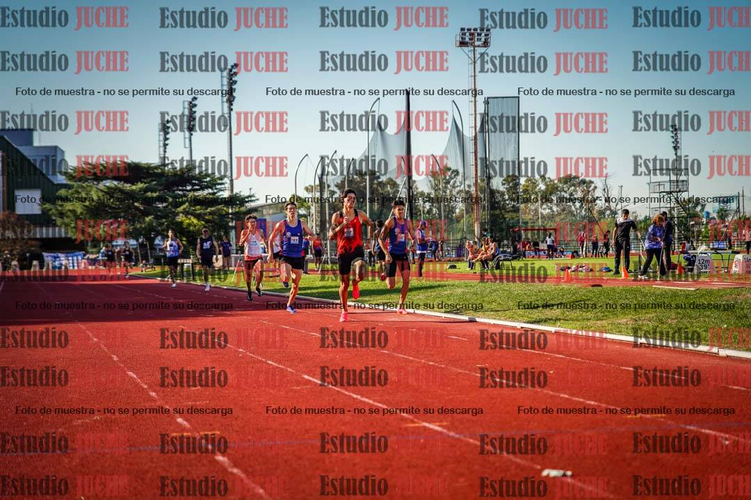Fotos de los 800 m llanos de varones