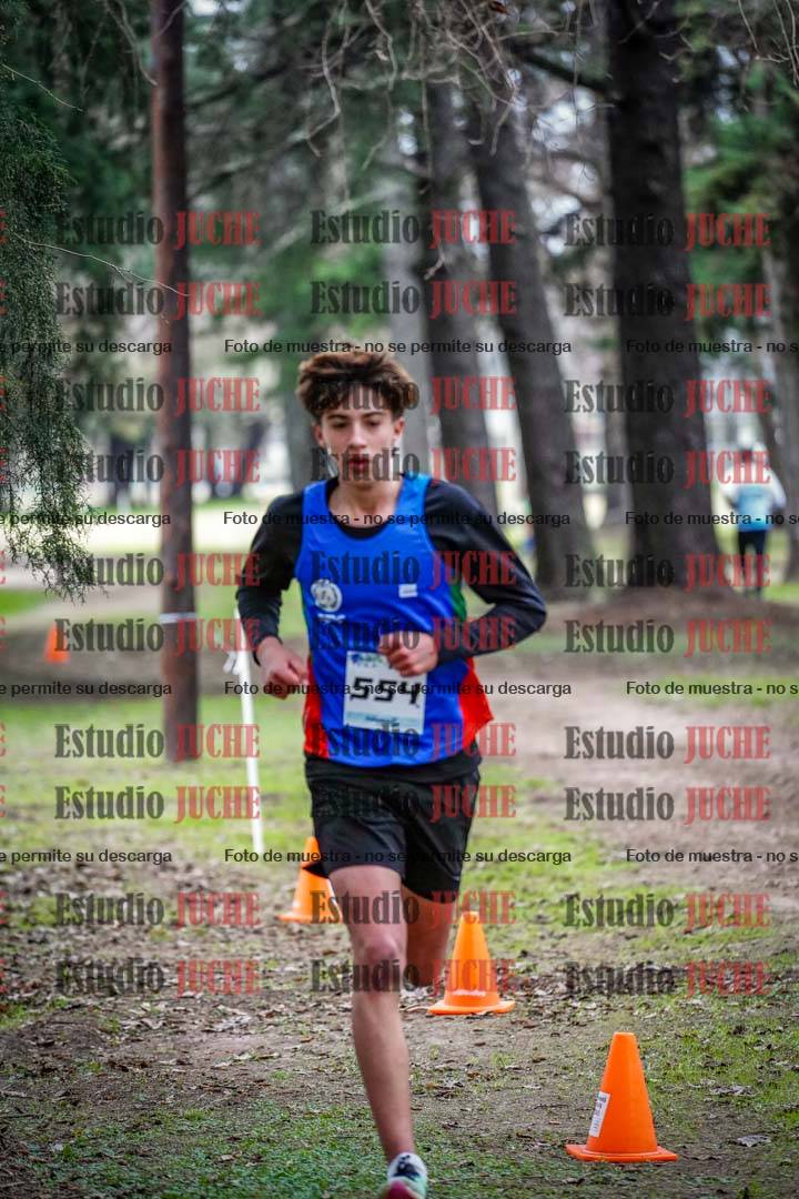 Fotos en el circuito