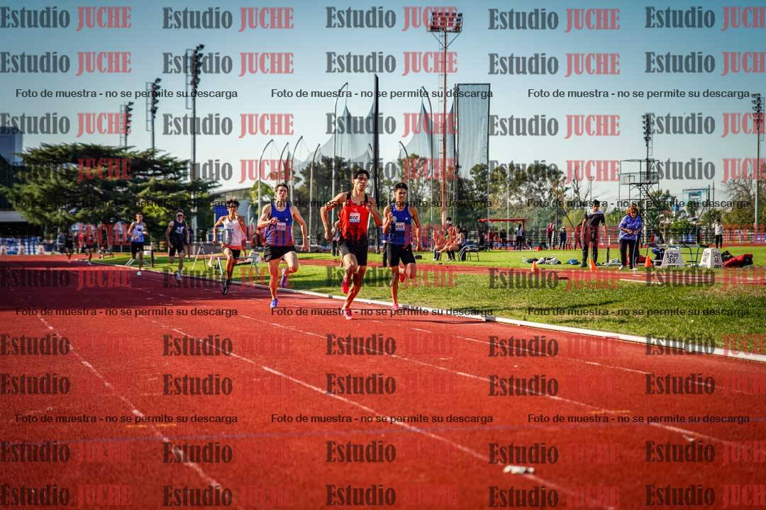 Fotos de los 800 m llanos de varones