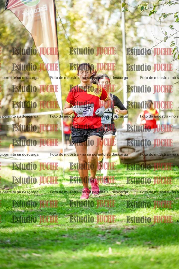Fotos en el segundo punto del circuito