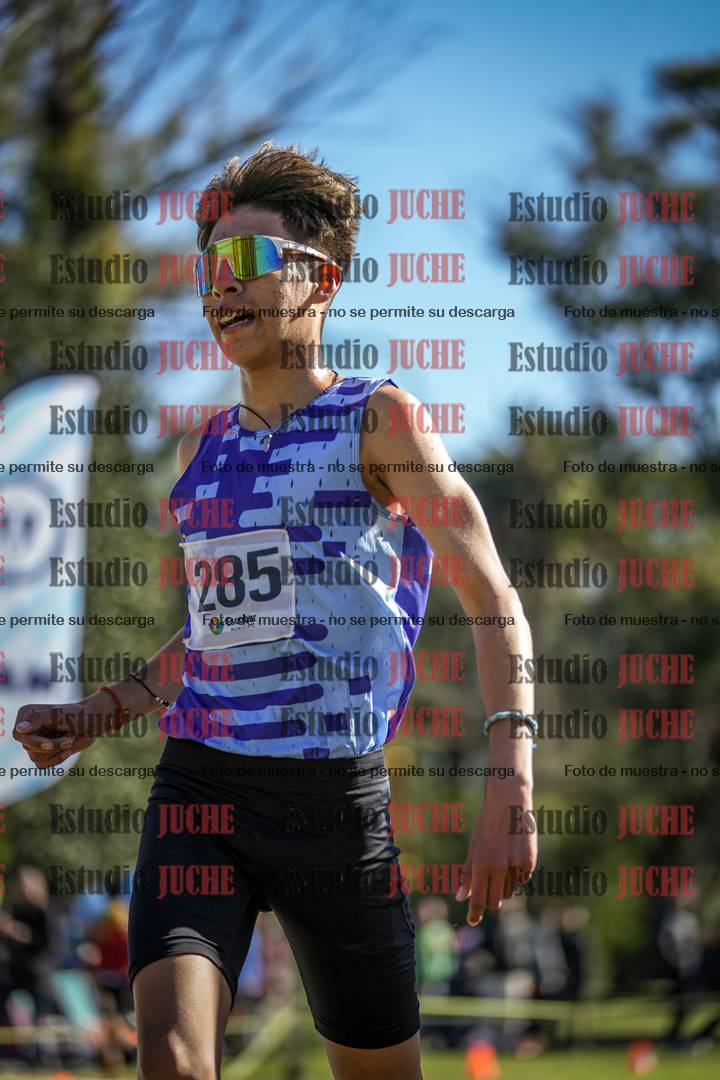 Fotos de la llegada del cross de 3000 m