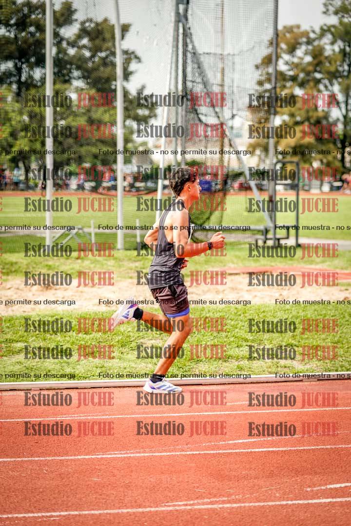 Fotos de los 3000 m llanos de varones