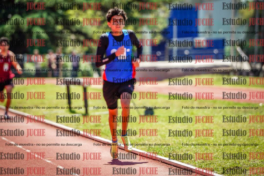 Fotos de los 800 m llanos de varones