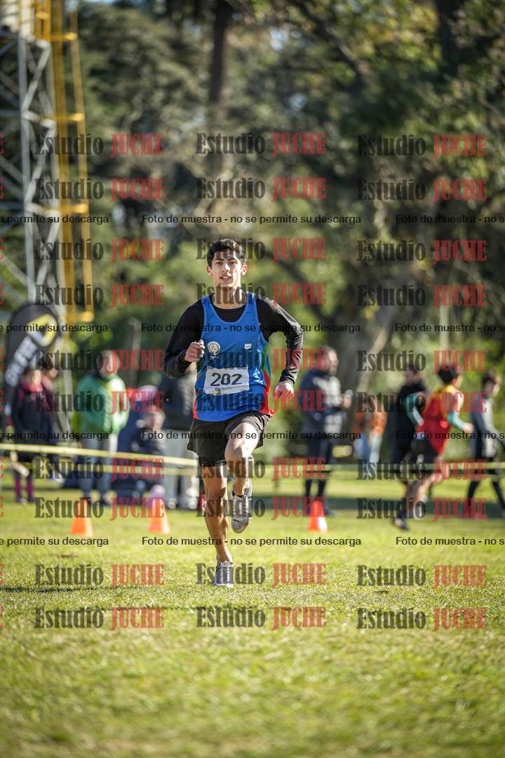 Fotos de la llegada del cross de 3000 m