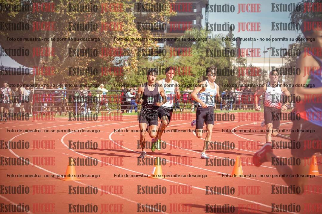 Fotos de los 800 m llanos de varones