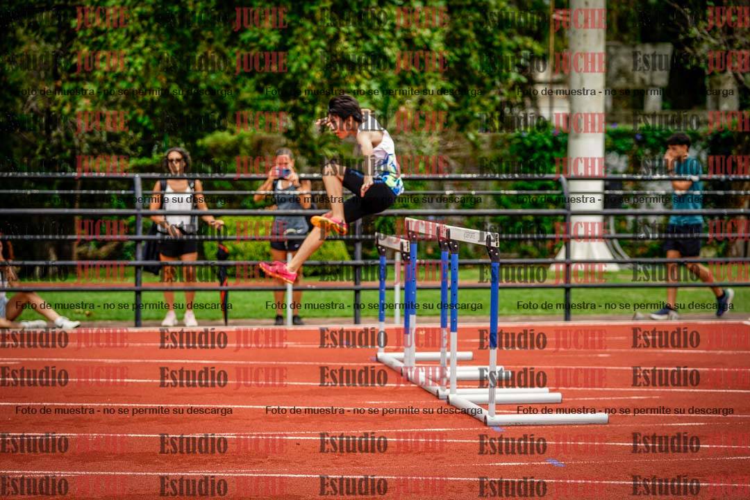 Fotos de los 110 m con vallas de varones